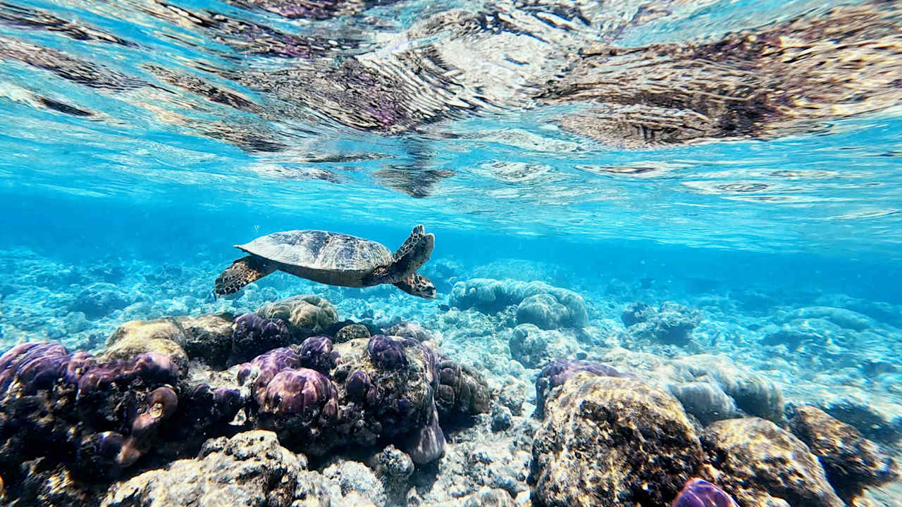 Sport & Freizeit Vilamendhoo Island Resort & Spa