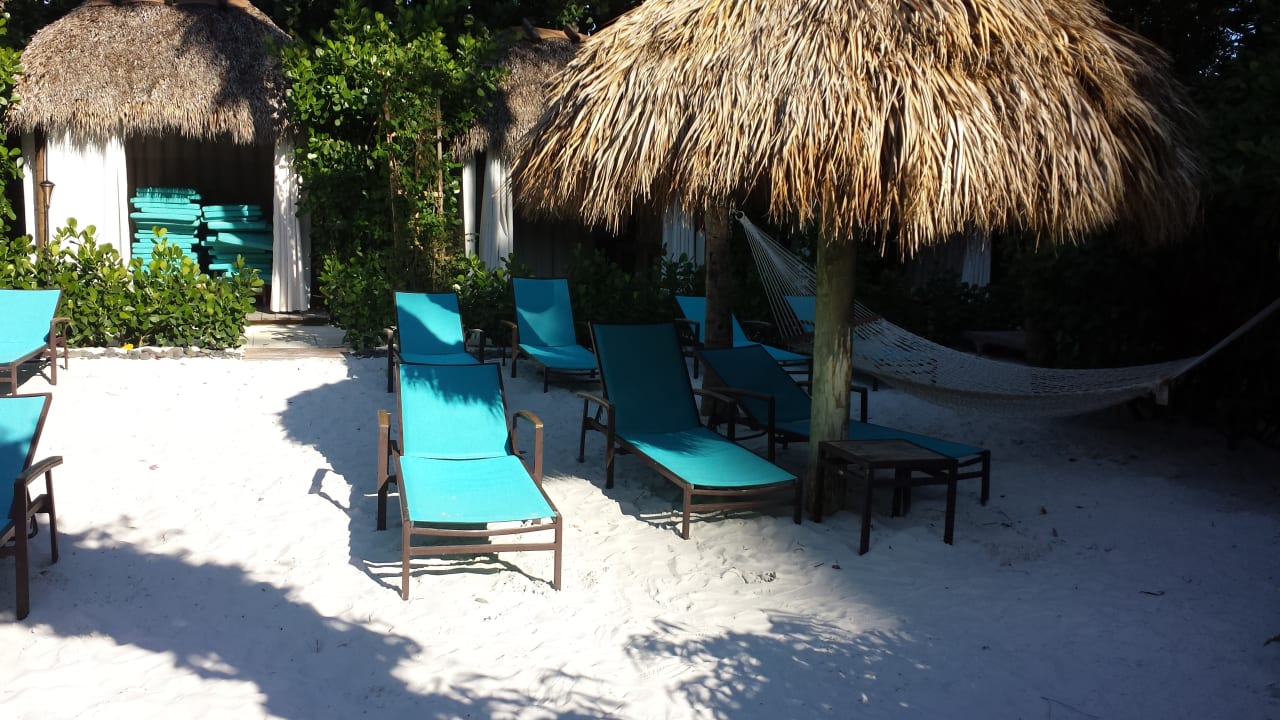 Pool The Palms Hotel & Spa