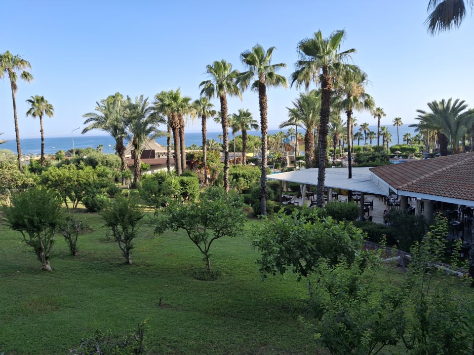 Gartenanlage Hotel Defne Garden