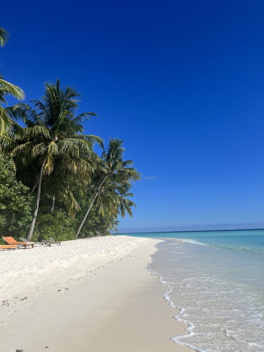 Strand AYADA Maldives