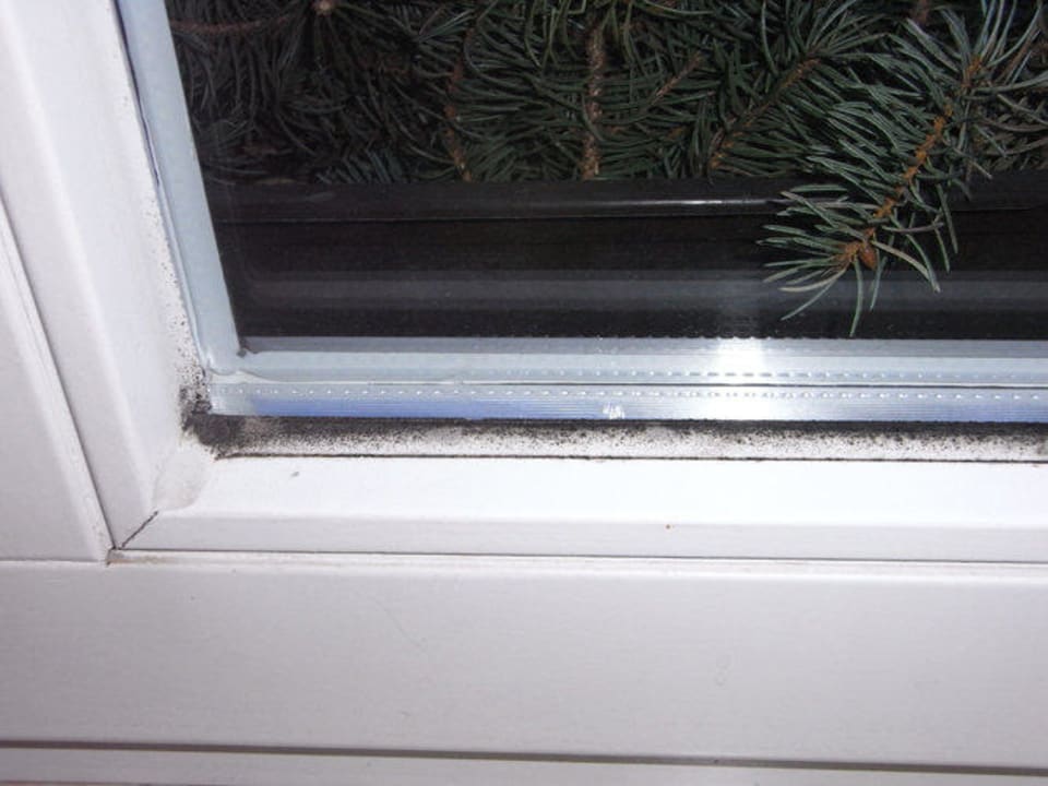 Schimmel Fenster Hotel Up-Hus-Idyll