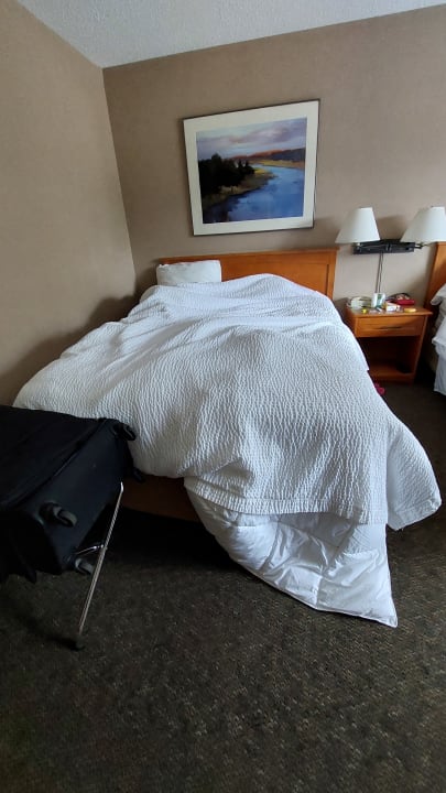 Zimmer Hotel Lobstick Lodge