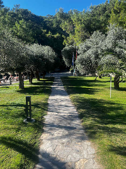 Gartenanlage TUI BLUE Seno - Adults Only