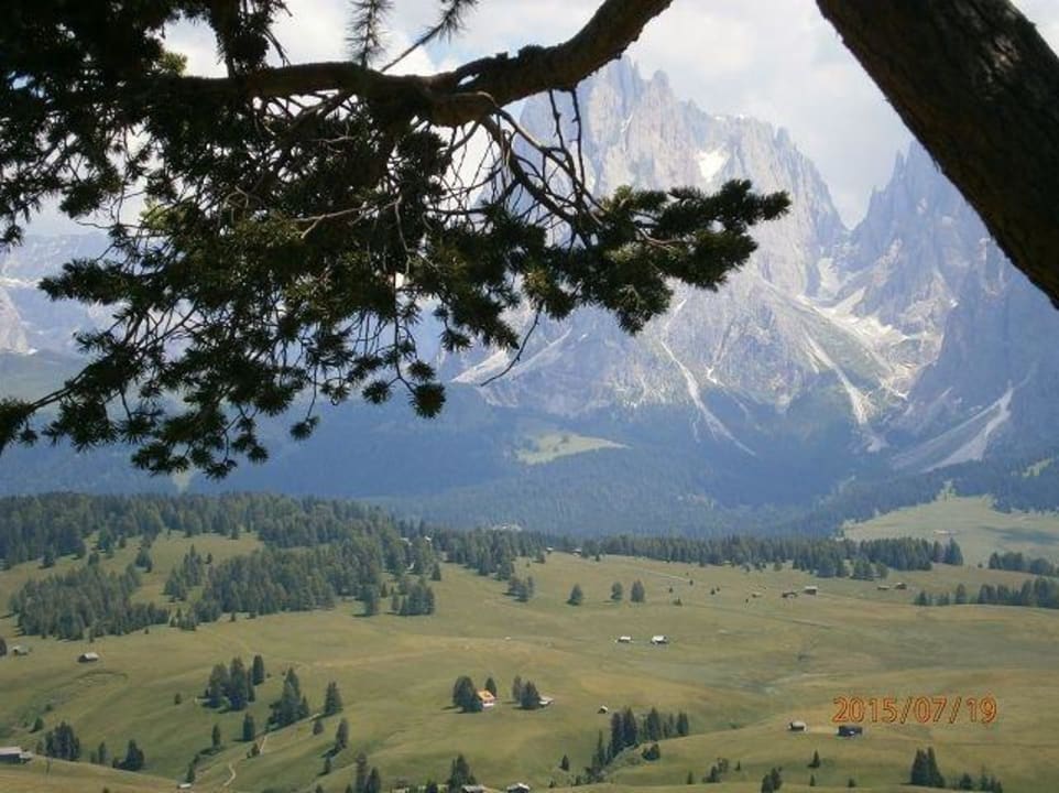 Blick twischen blatt und langkofel Hotel Ritsch Seiser Alm