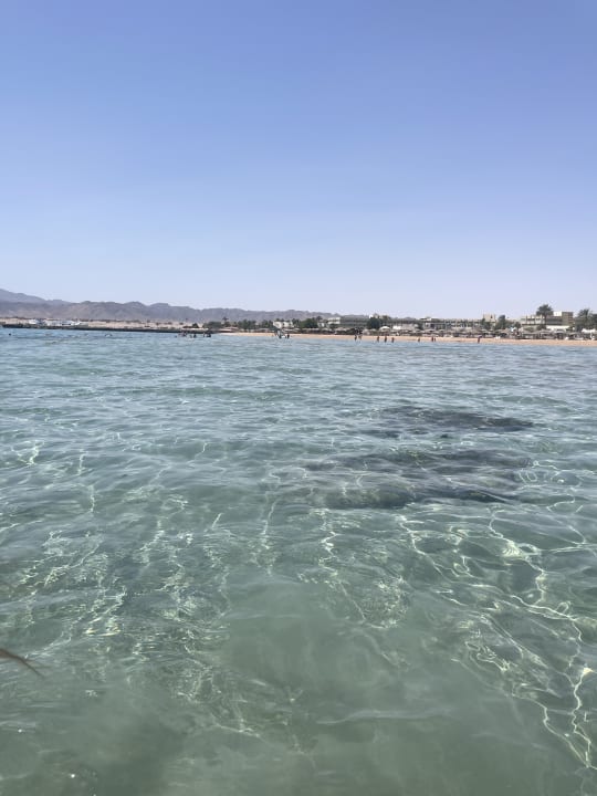Strand Imperial Shams Abu Soma