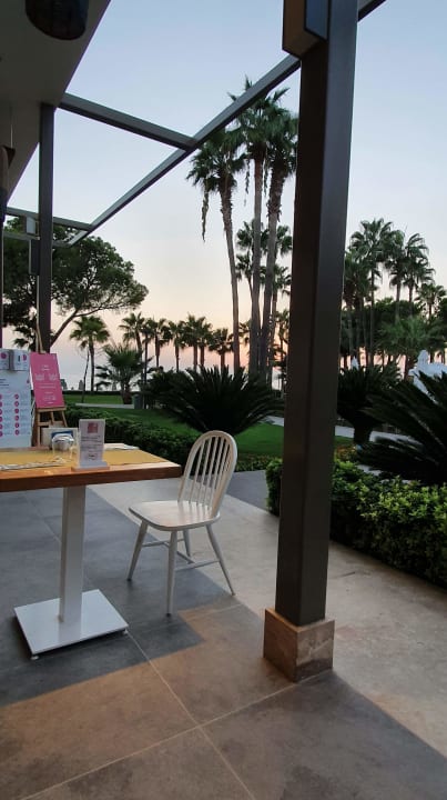 Gastro Acanthus Cennet Barut Collection