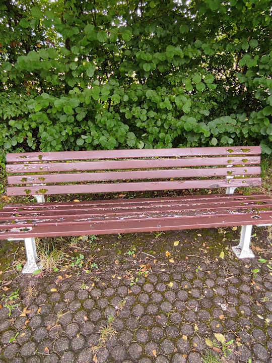 Gartenanlage Hotel Schwarzwald Freudenstadt