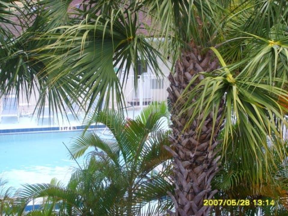 Pool 2 Hotel Palm Manor Anlage