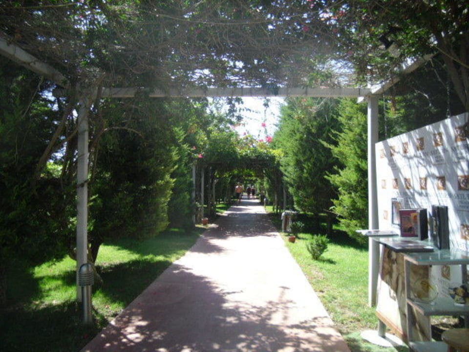 Der Weg, der wirklich toll geworden Saturn Palace Resort Hotel