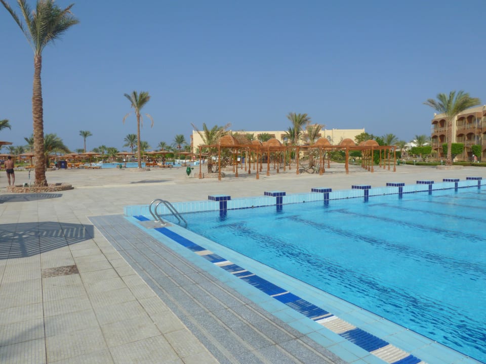 Piscine Olympique Desert Rose