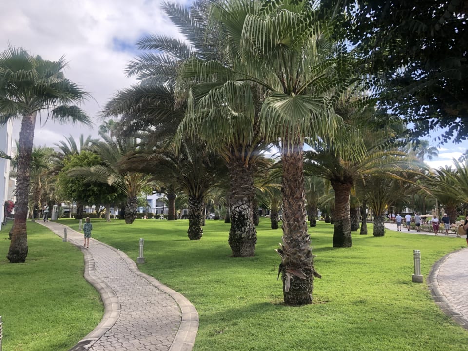 Gartenanlage Hotel Riu Gran Canaria