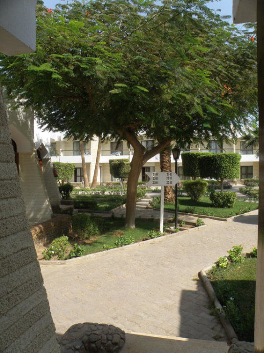 Widok z bungalowu Regina Resort and Aqua Park Hurghada