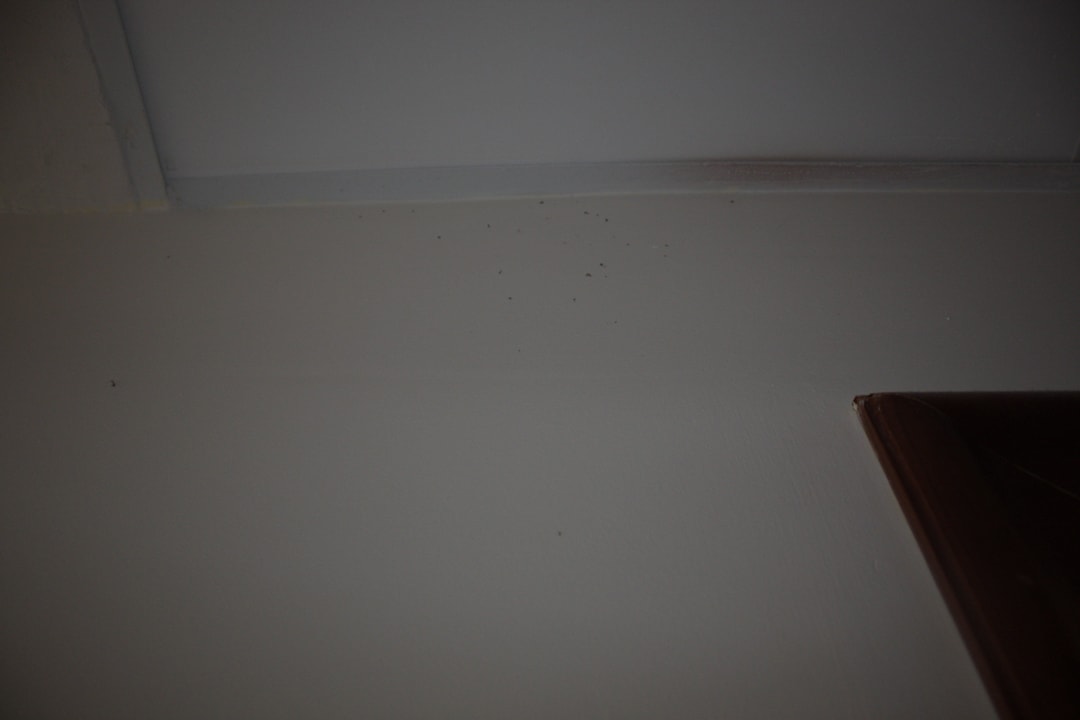 Dreck an der Decke Flacalco Hotel & Apartments