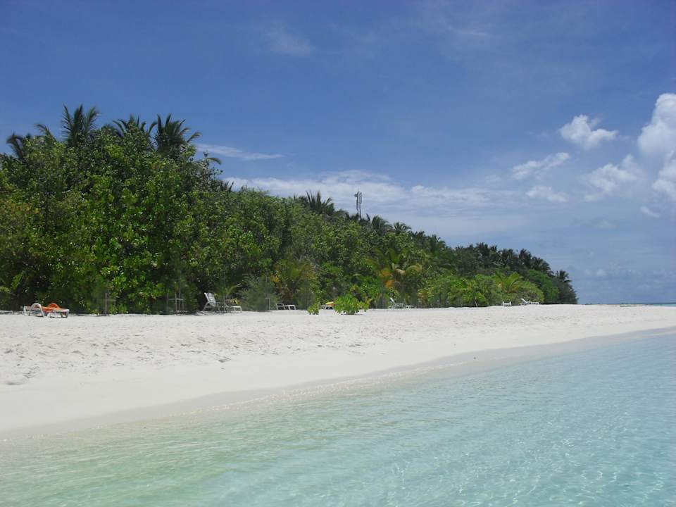 Blick vom Meer auf die Insel Summer Island Maldives