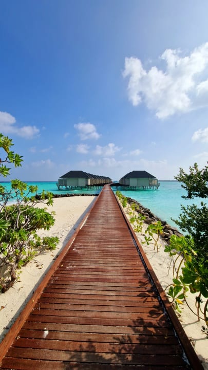 Außenansicht Summer Island Maldives