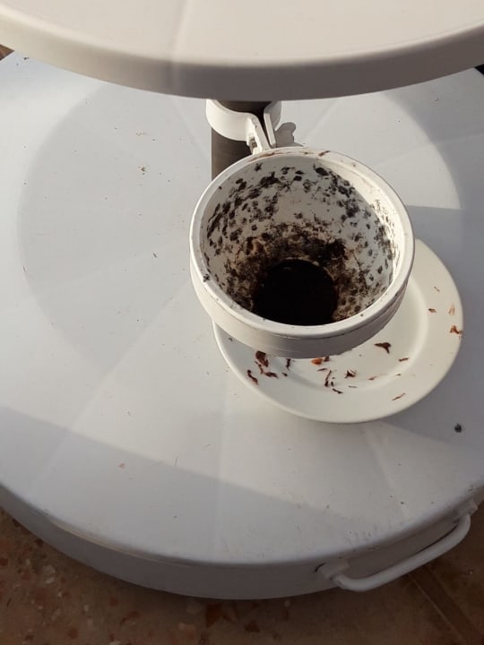 Sonstiges Side Star Elegance