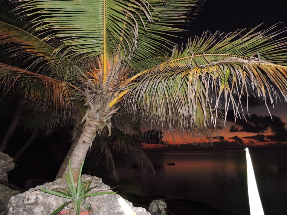 Sonnenaufgang Bahari Beach Hotel