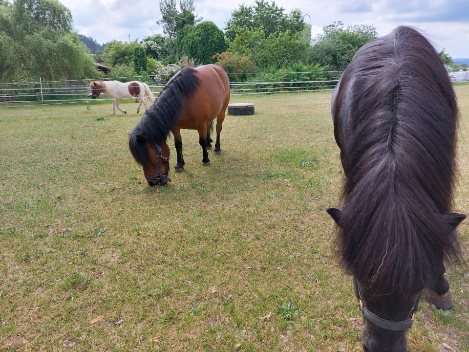 Sport & Freizeit Schedlhof