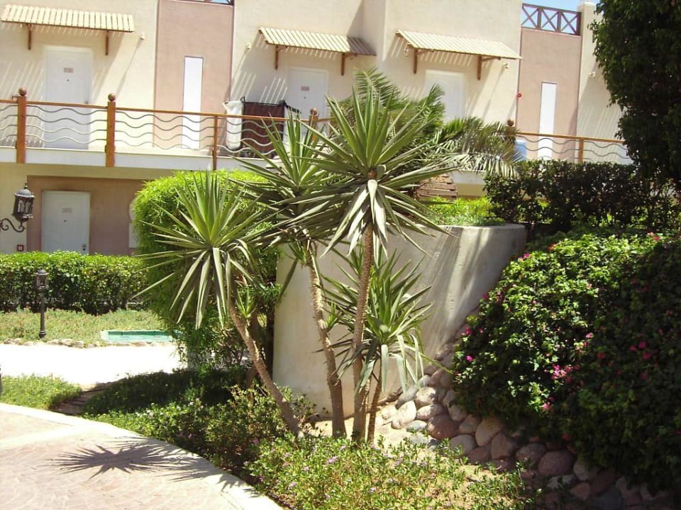 Hotelanlage Concorde El Salam Concorde El Salam Hotel Sharm el Sheikh by Royal Tulip