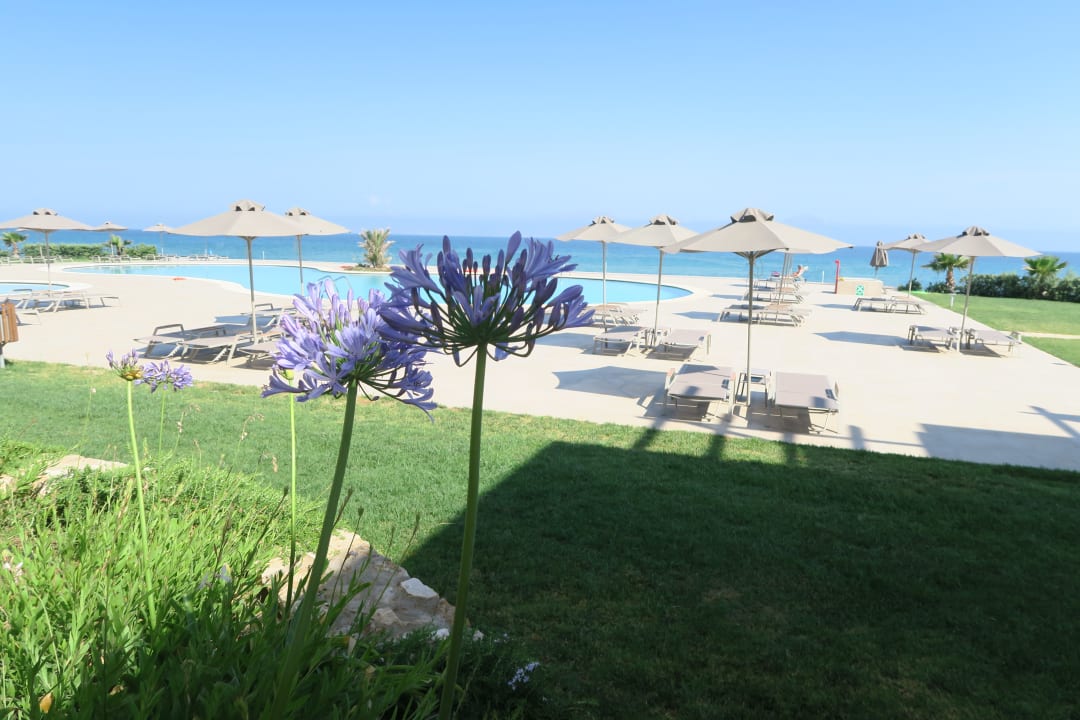 Pool Hotel Horizon Beach Resort