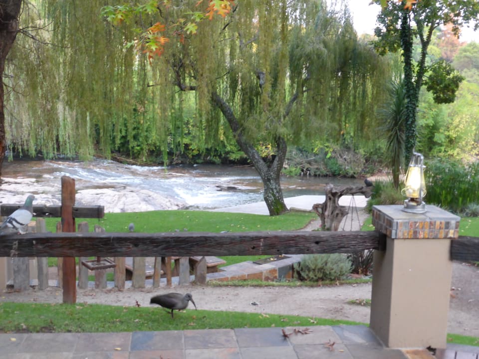 Ausblick vom Frühstückstisch Hotel Africlassic River Lodge Rivonia