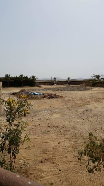 Widok za hotelu Three Corners Sea Beach Resort