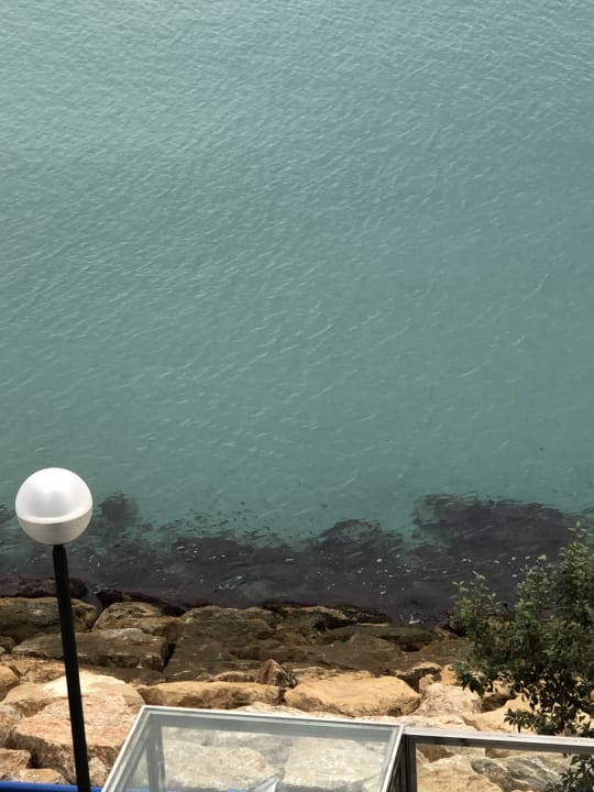 Ausblick Hotel Meliá Alicante