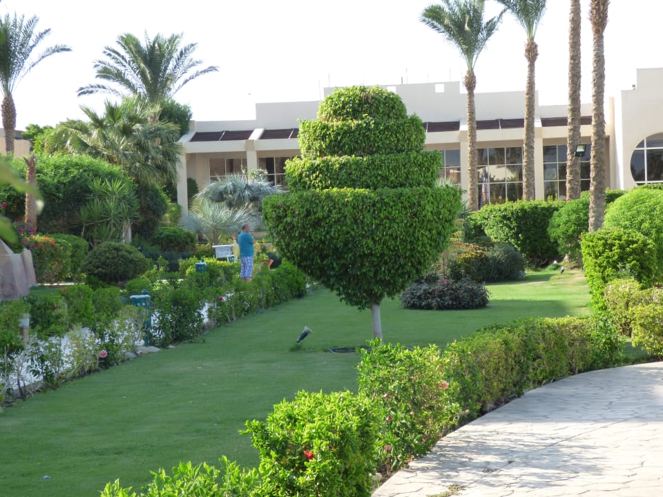Gartenanlage Prima Life Makadi Resort
