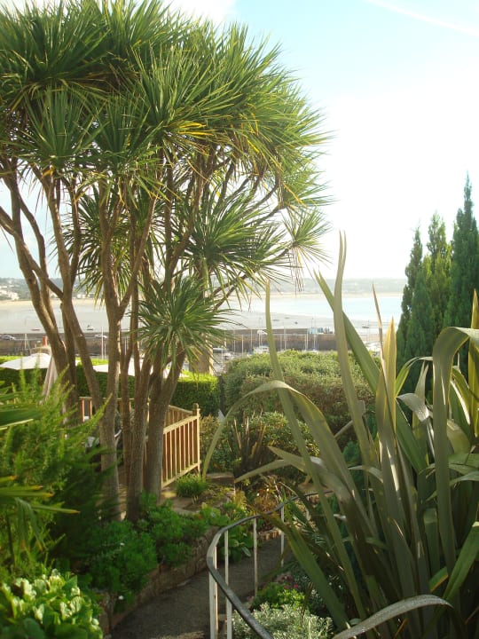 Sehr schöner Garten Somerville Hotel