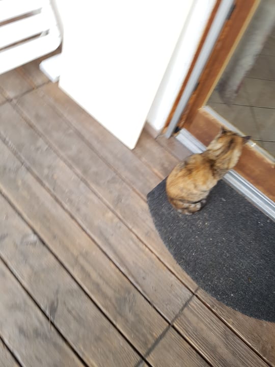 Zimmer Erlebnisbauernhof Frankl