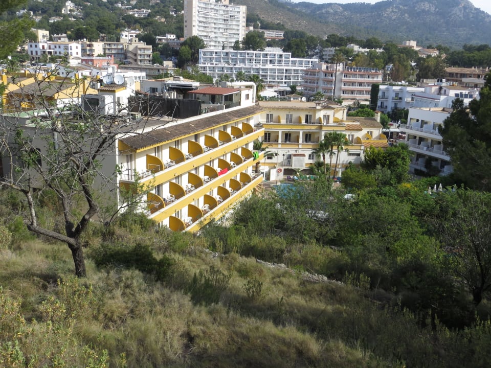 Zimmer mit Balkon FLOR los Almendros Apartamentos