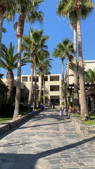 Gartenanlage allsun Hotel Malia Beach