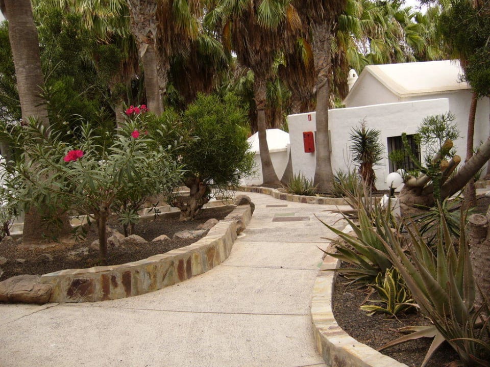 Sauberkeit Bahia Calma Beach