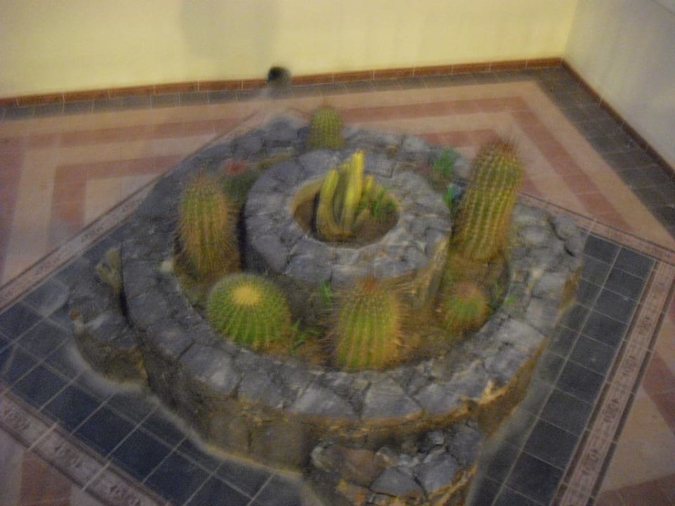 Steingarten Hotel Riu Karamboa