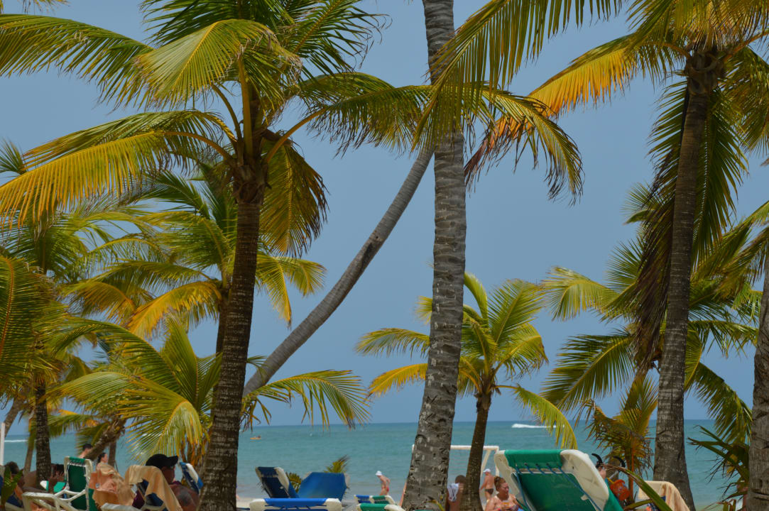 Strand Hotel Riu Bambu