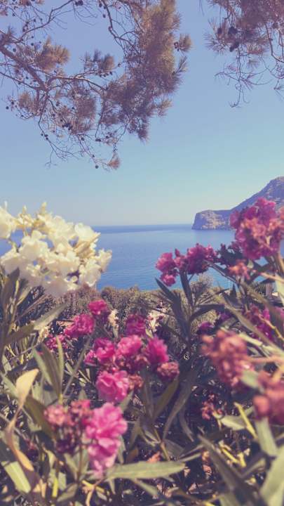 Gartenanlage Fodele Beach & Water Park Holiday Resort