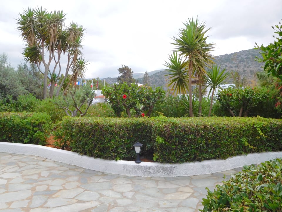 Gartenanlage Alexander Beach Hotel & Village Resort