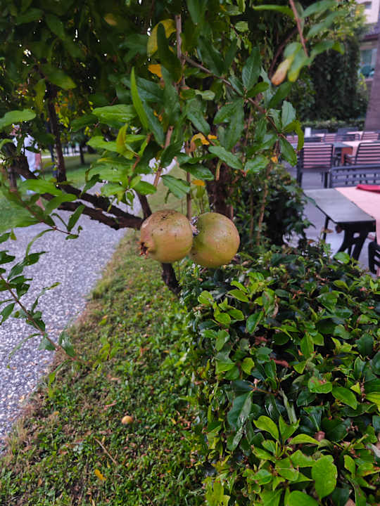 Gartenanlage Bella Resort & Spa