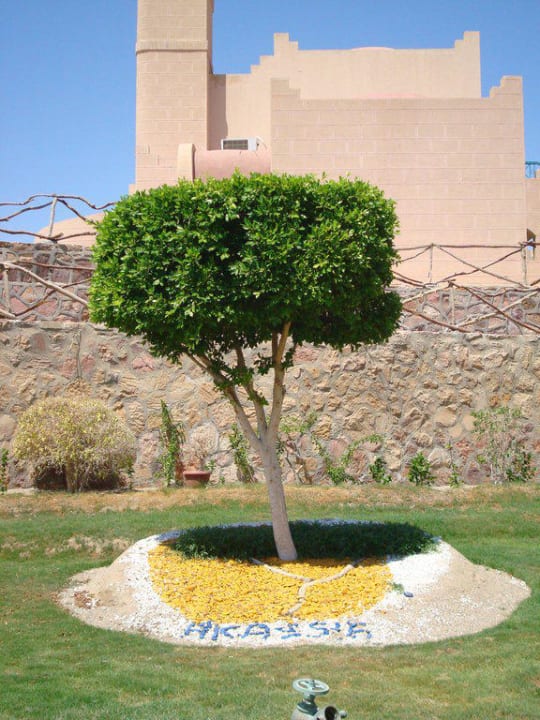 In der Gartenanlage des Akassia Sentido Akassia Beach