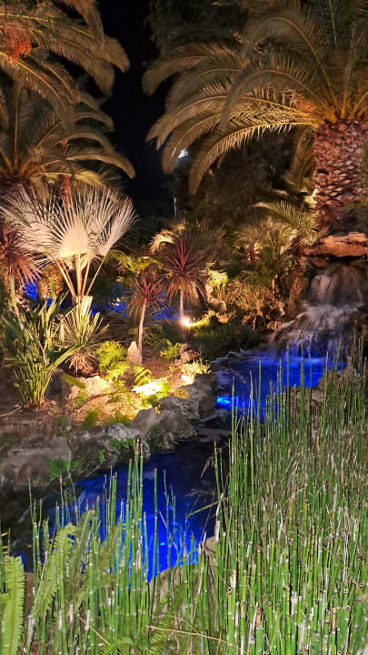 Gartenanlage Caravia Beach Hotel