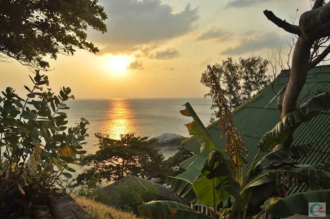 Ausblick The Ocean Phangan Homestay