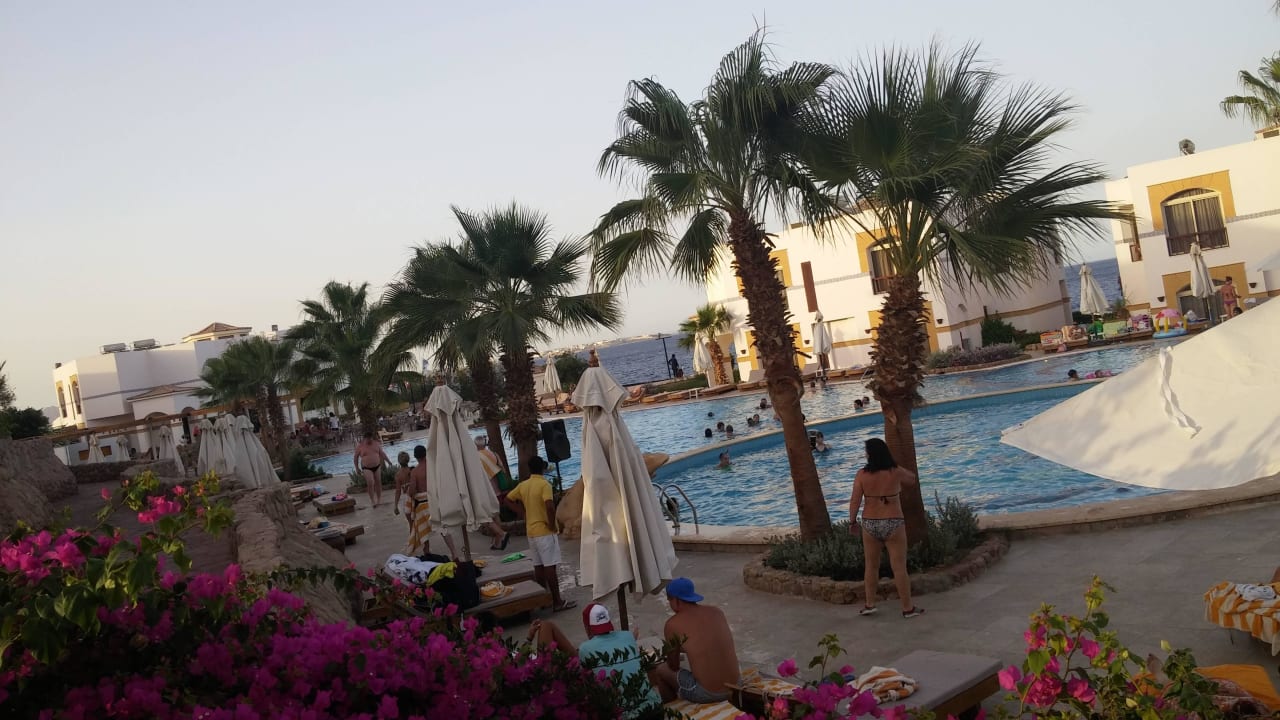 Widok na basen Amphoras Blu