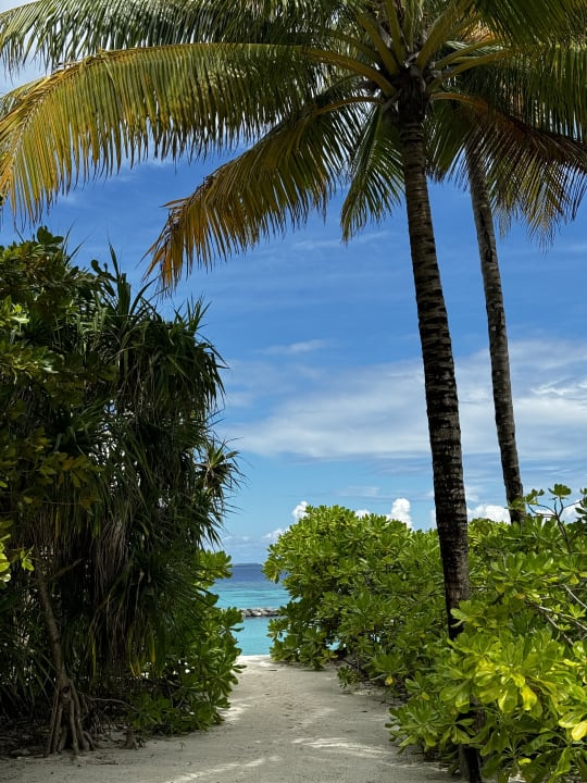Zimmer The St. Regis Maldives Vommuli Resort