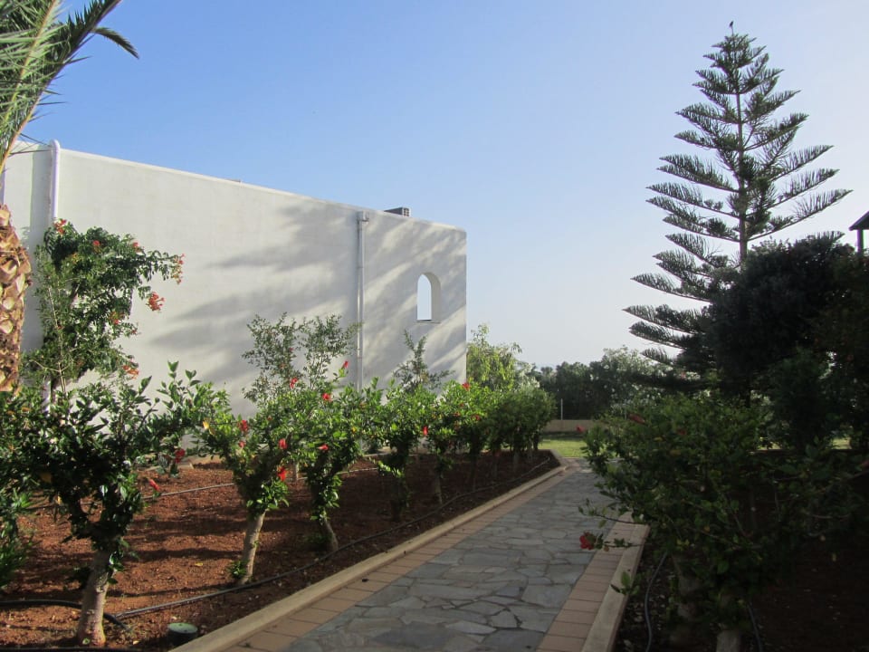 Hotel Chrissi Amoudia TUI SUNEO Chrissi Amoudia