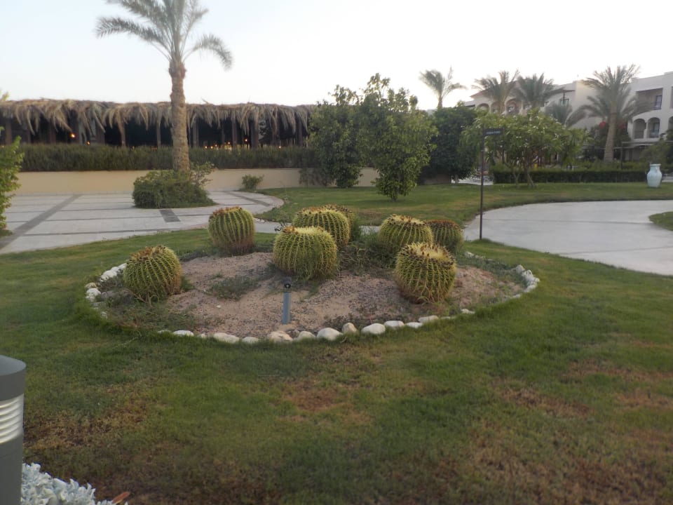 Garten Anlage weg zum Fun Pool/Strand JAZ Aquamarine Resort