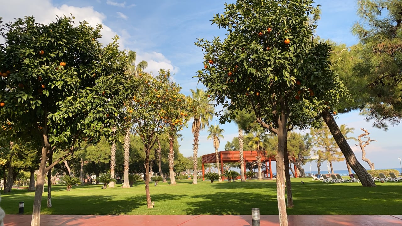 Gartenanlage TUI MAGIC LIFE Beldibi +16