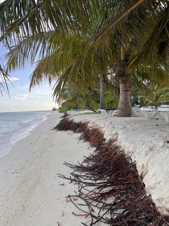 Strand Meeru Maldives Resort Island