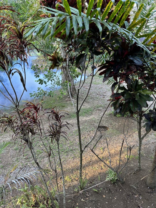 Ausblick Sunset at the Palms Resort - Adults Only