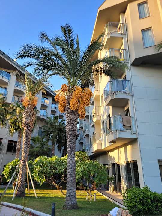 Pool Hotel Novum Garden Side