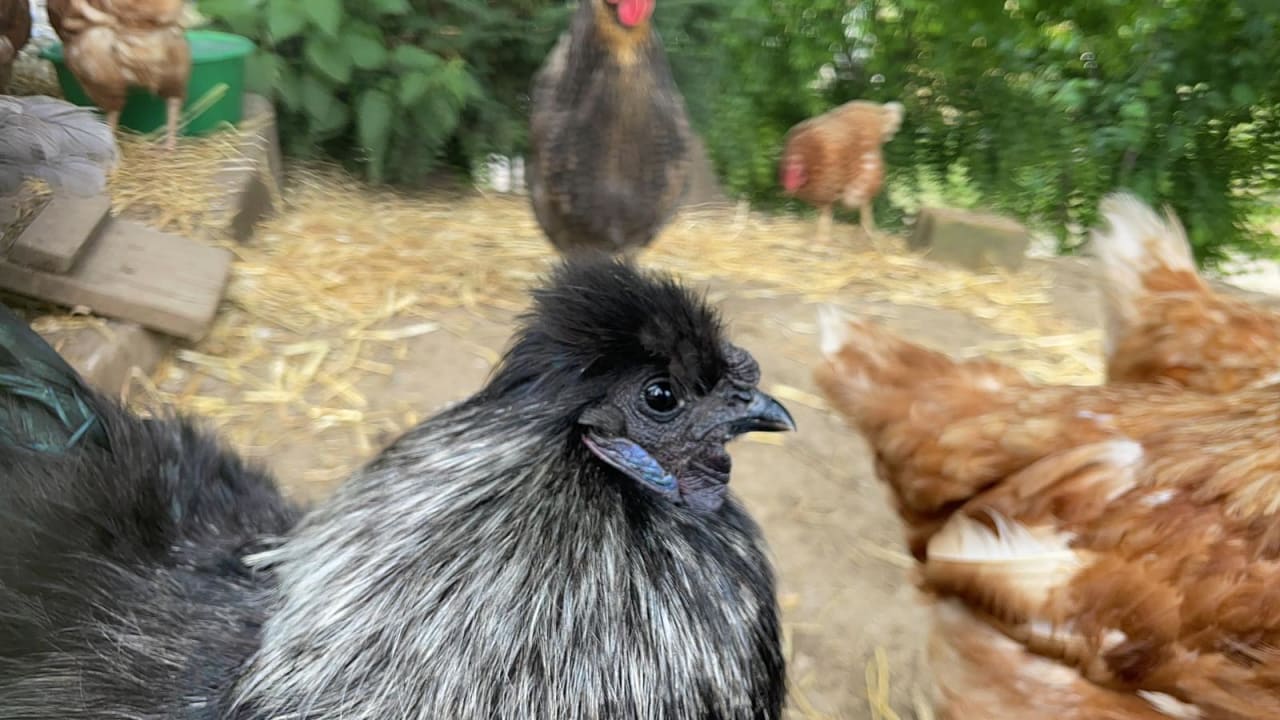 Sport & Freizeit Greinwaldhof Ferienwohnungen